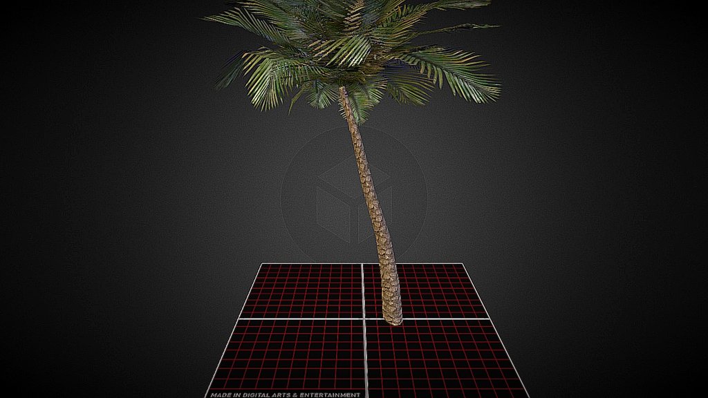 Palm_Tree 3d model