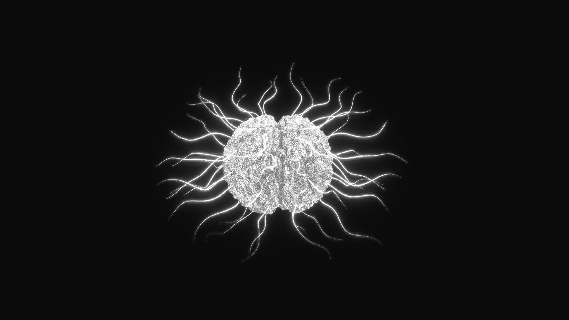 Neisseria Gonorrhoeae Bacteria 3d model