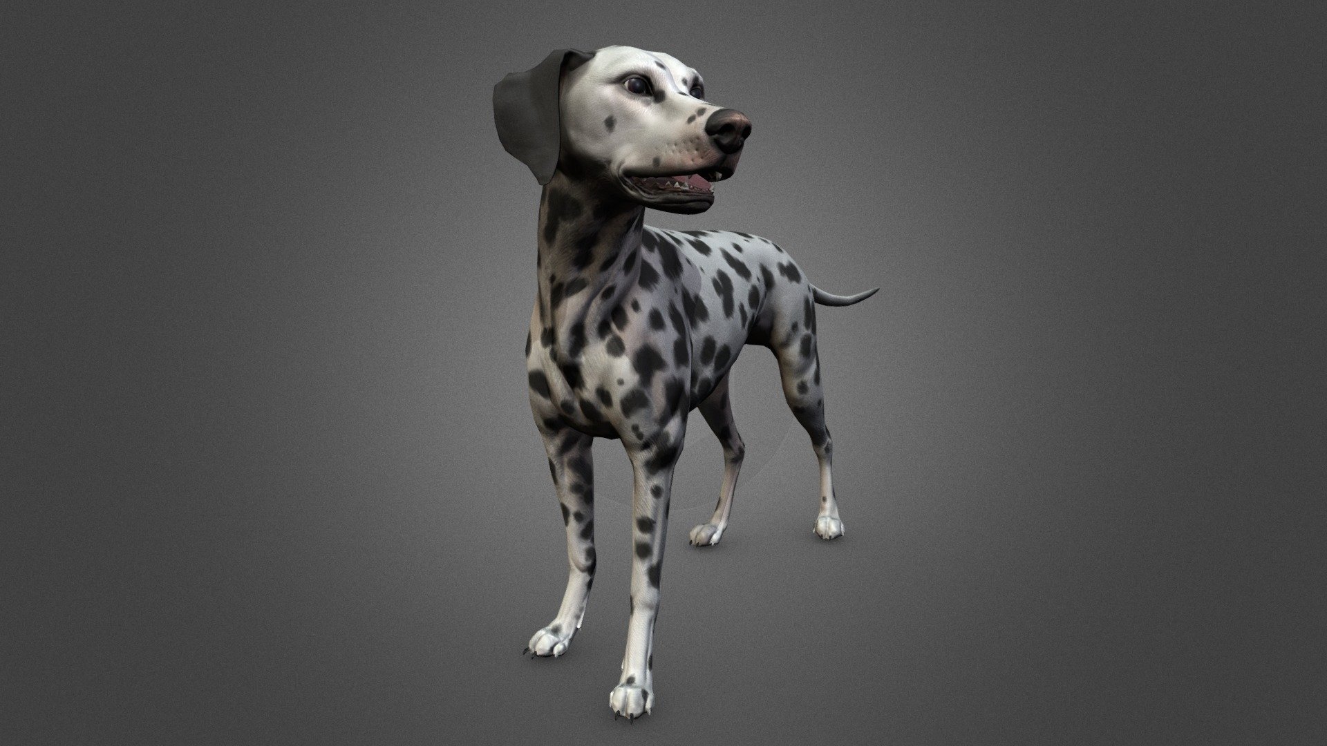 Dalmatian 3d model