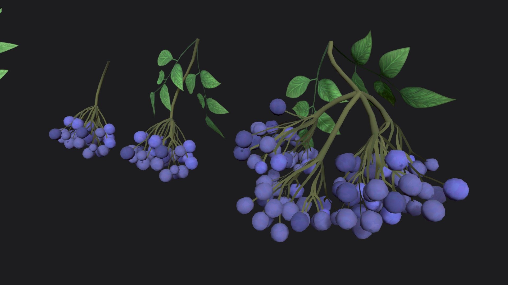 Elderberry sprig stylized plant 3d model