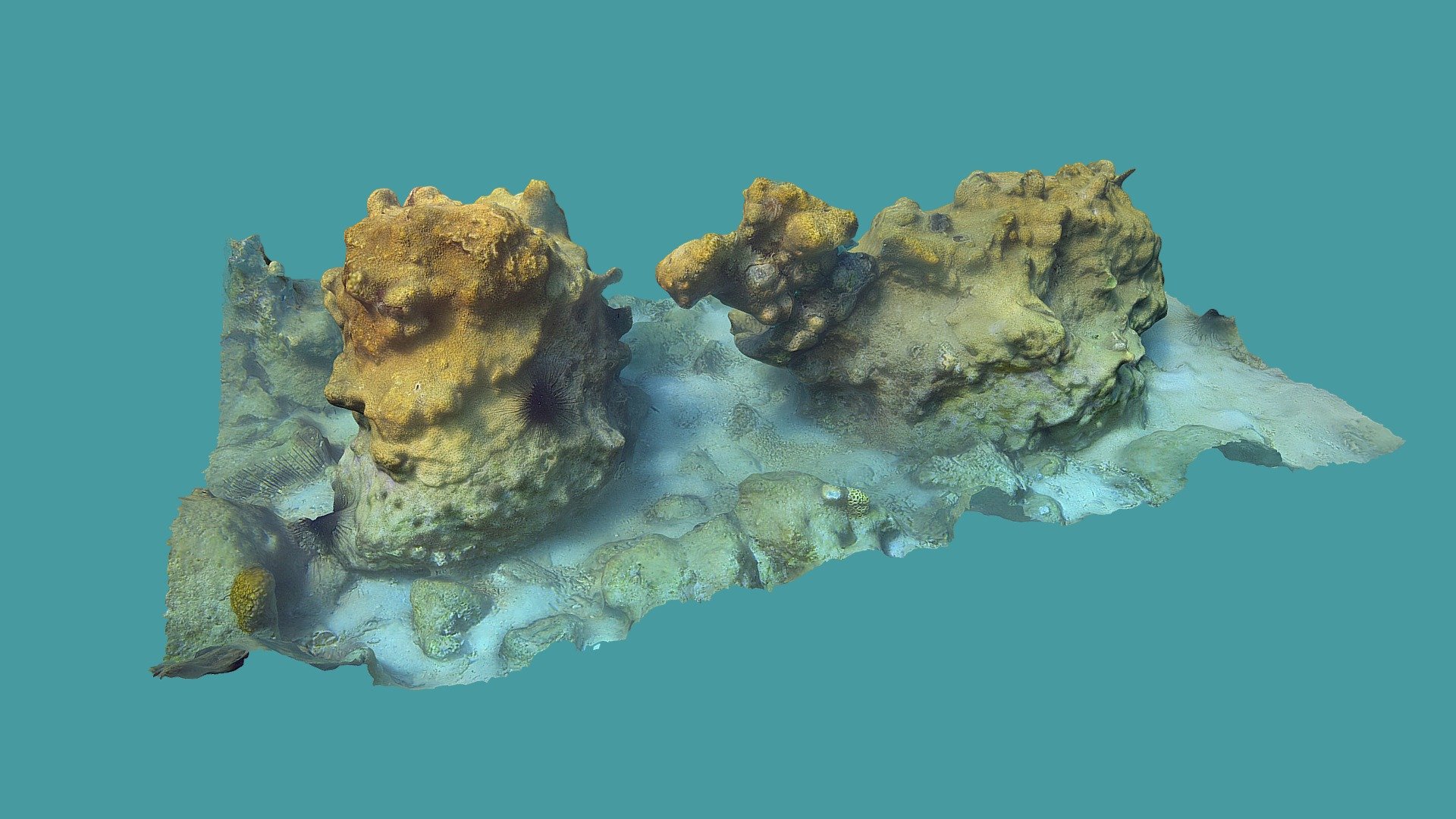 Reef structure, Koh Mak island 3d model