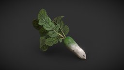 Daikon radish with leaves