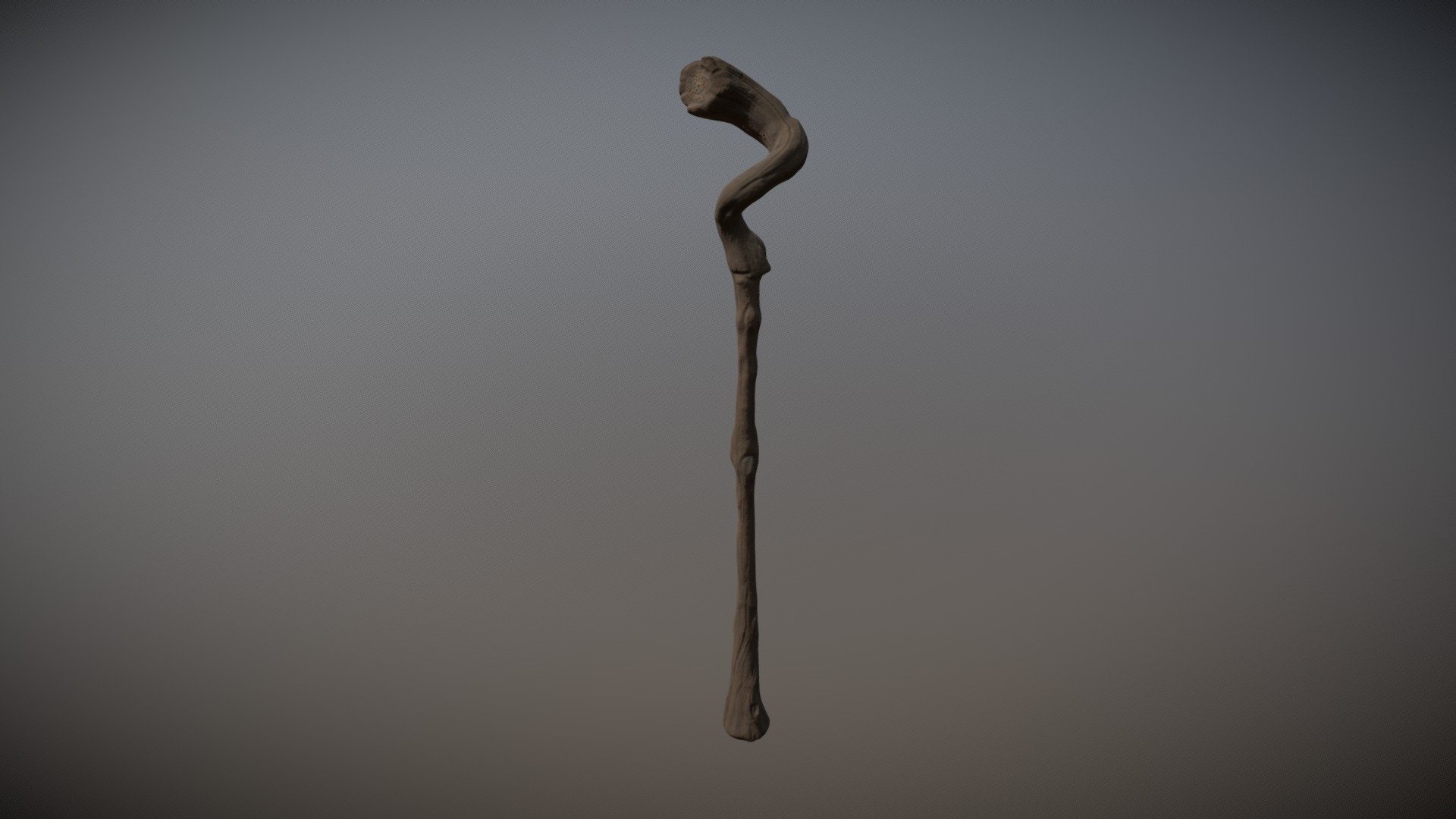 Gnarled Wooden Staff 3d model