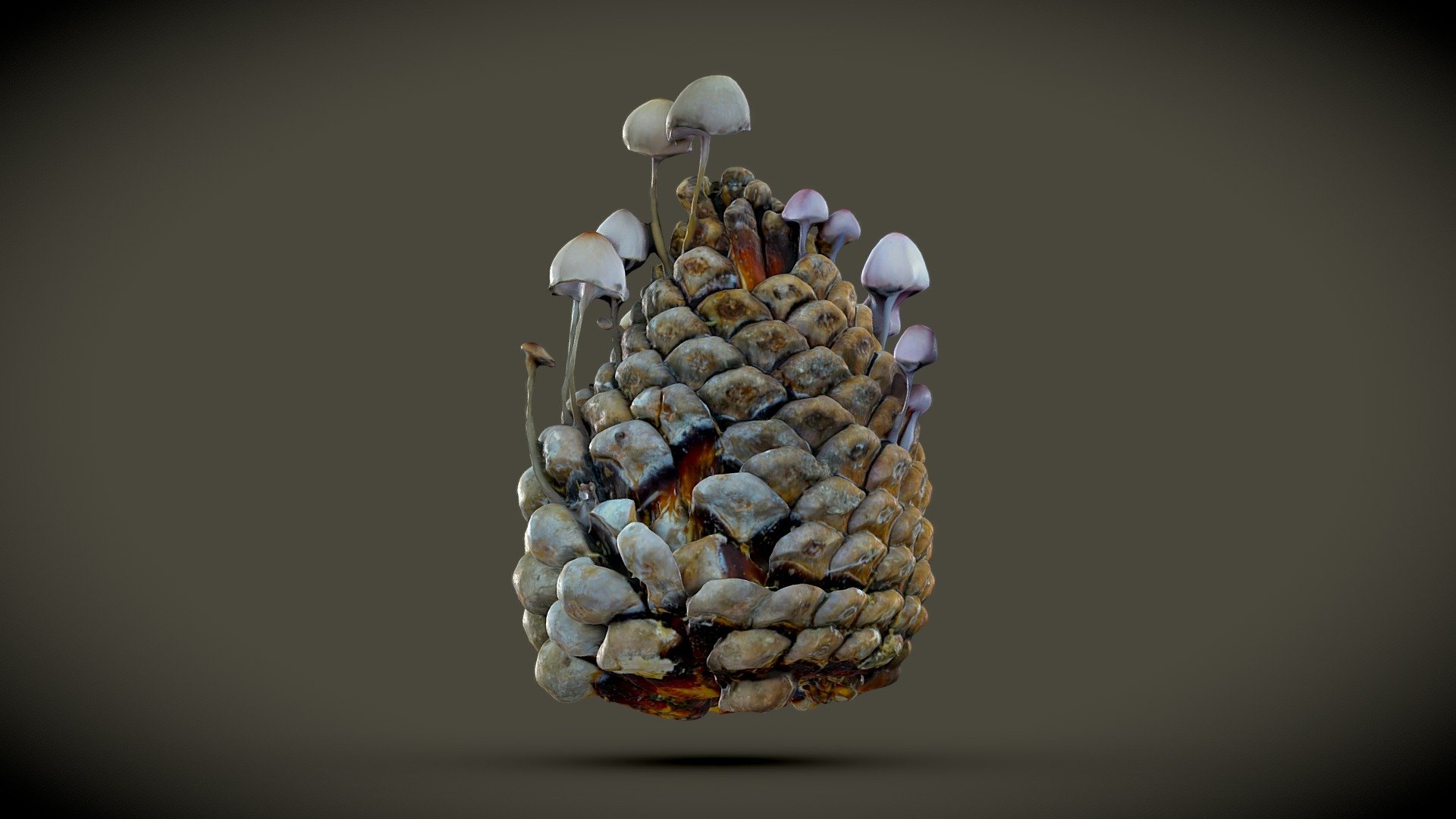 Pine Cone with Fungi 🌲🍄 3d model