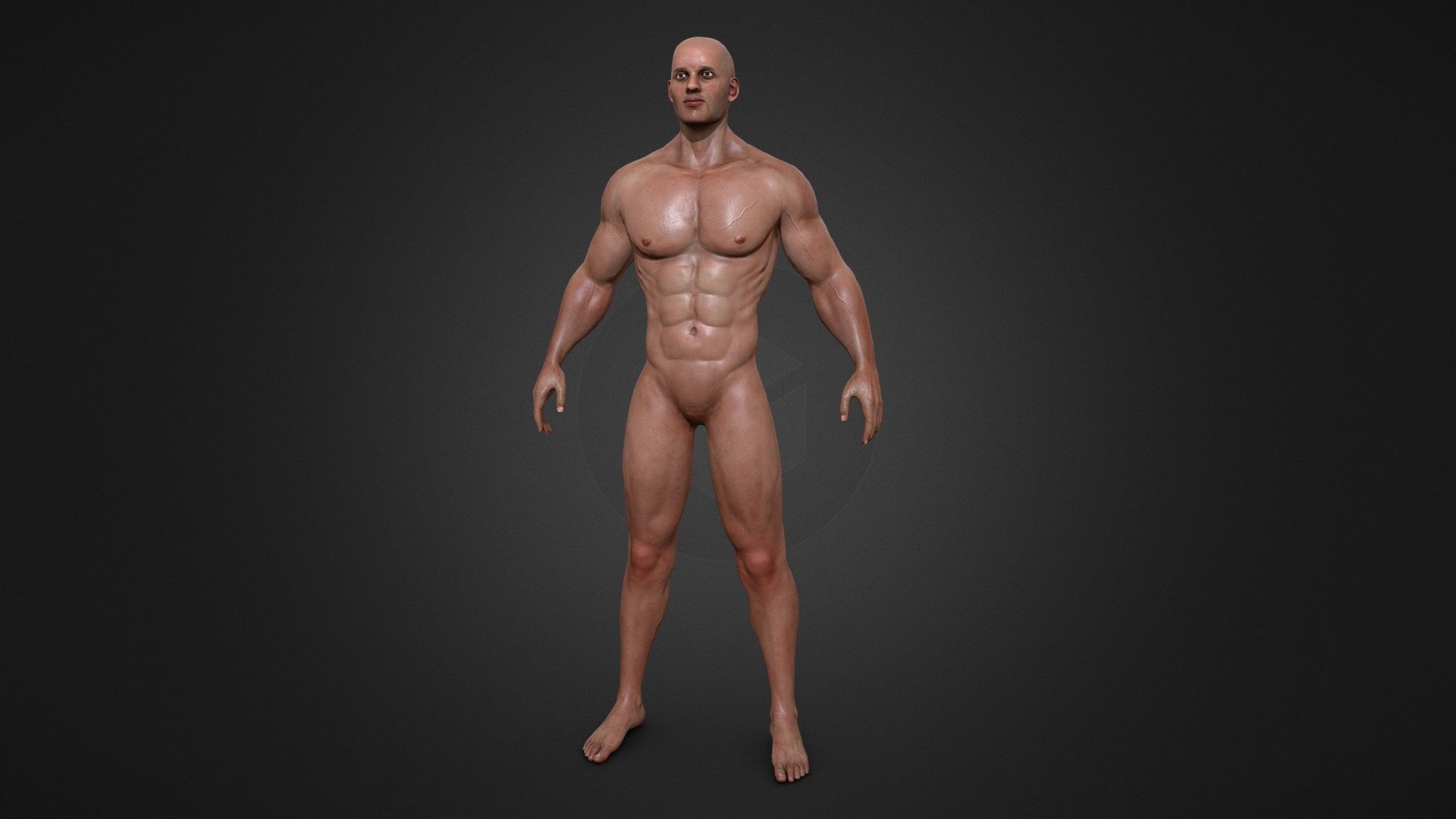 Realistic Male Lowpoly body 3d model