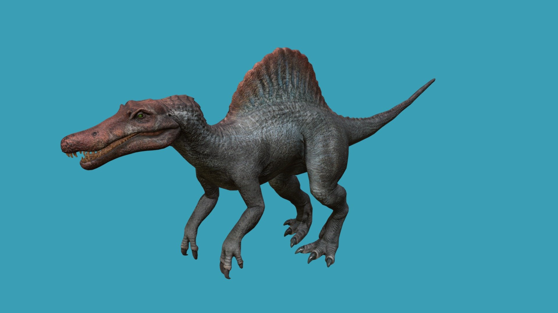 Spinosaurus 3d model