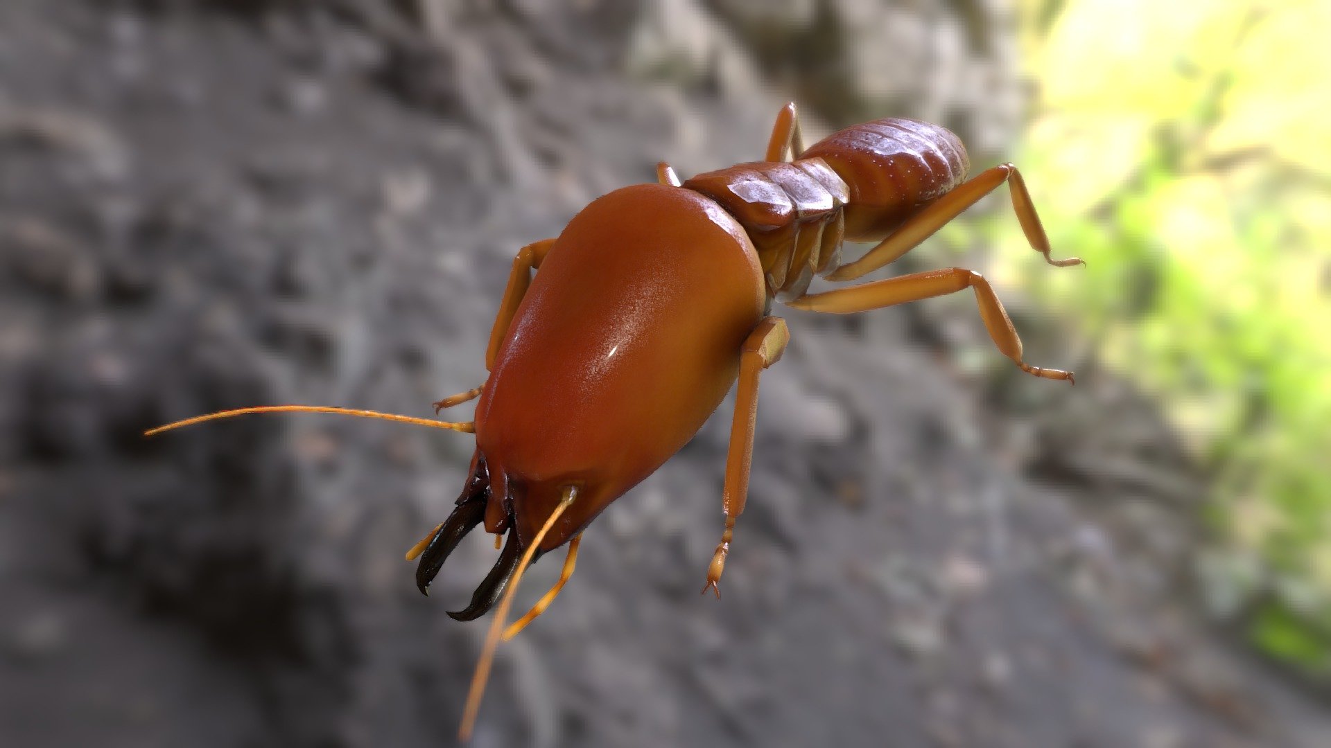 Termite_Soldier 3d model