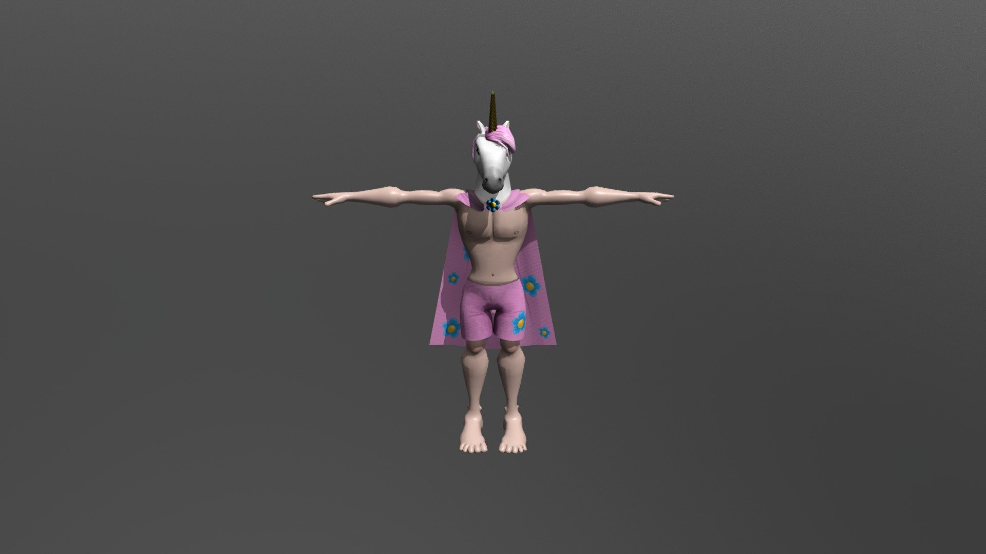 Captain Unicorn 3d model