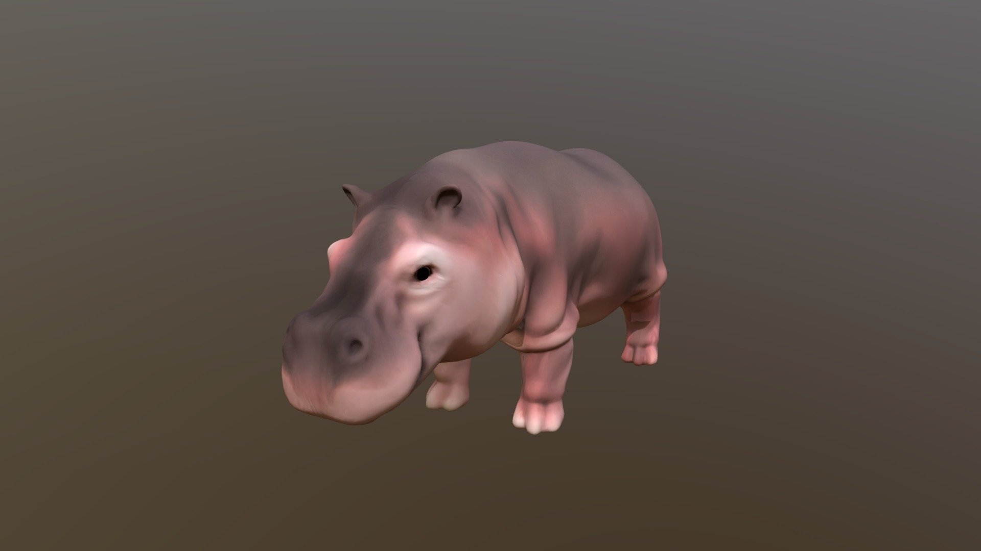 Hippo Rebuilt Updated 3d model