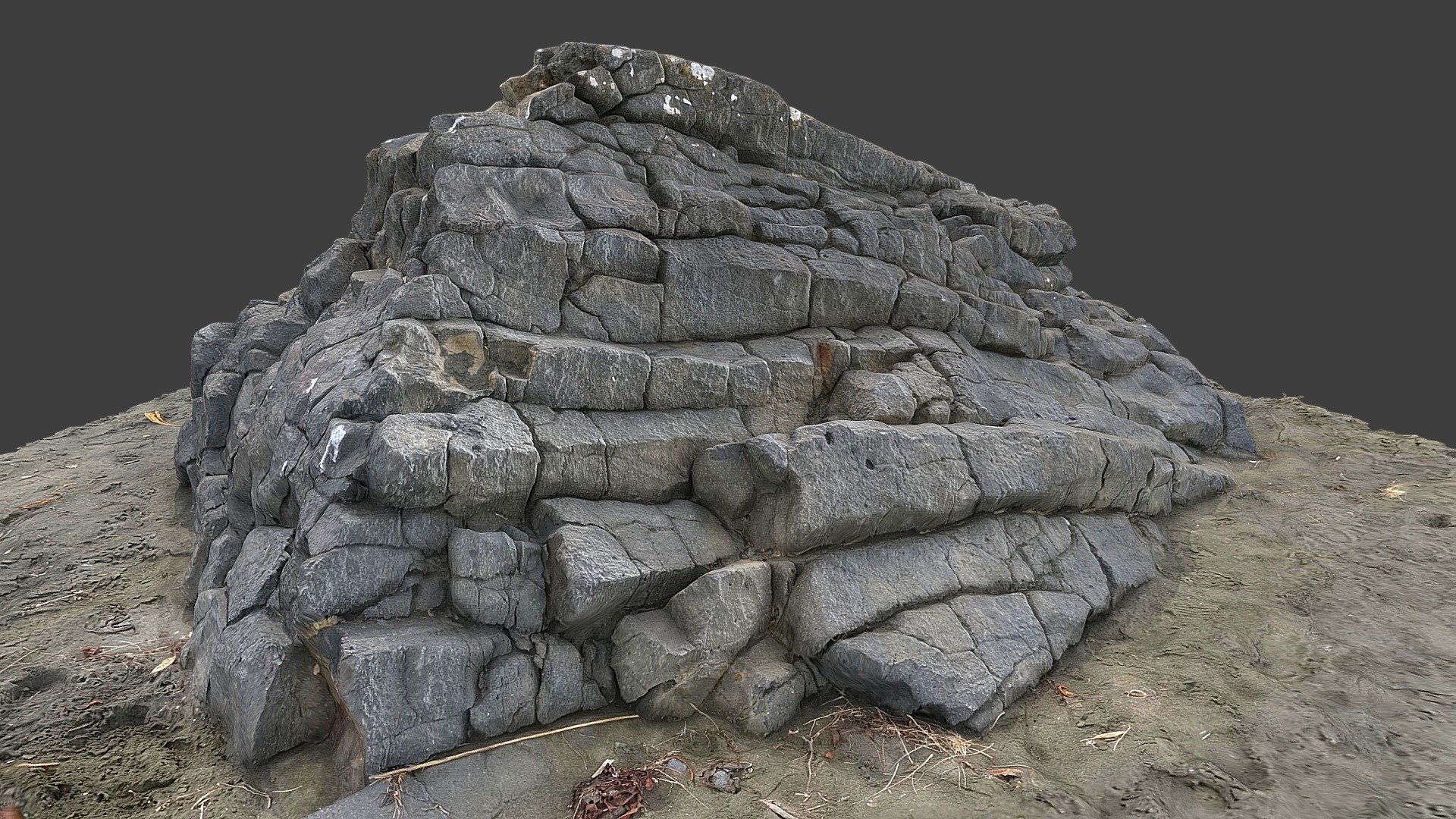 Basalt rock on beach 3d model