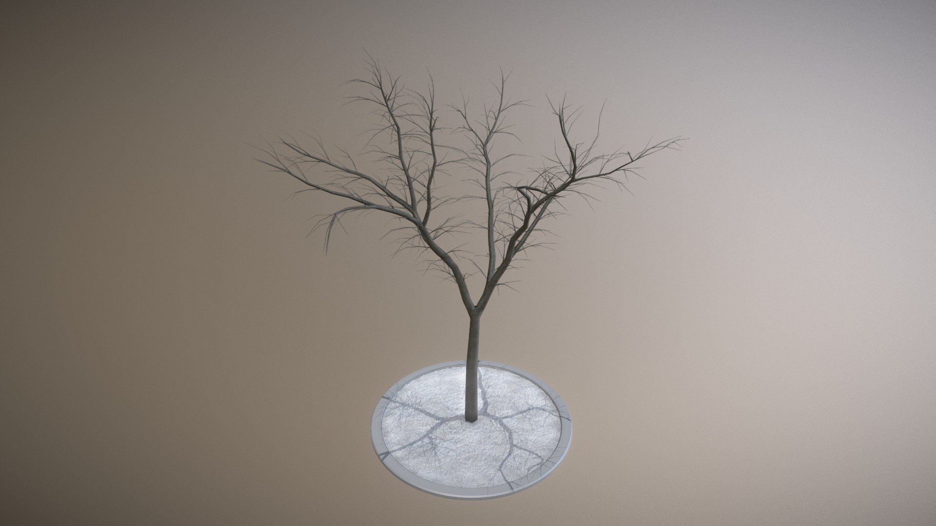 Rowan Tree 3d model