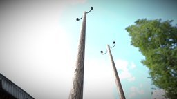 Wooden Power Poles