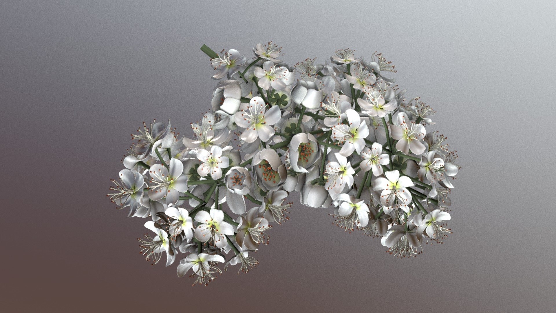 Blossom of a Rowan Low-Poly 3d model