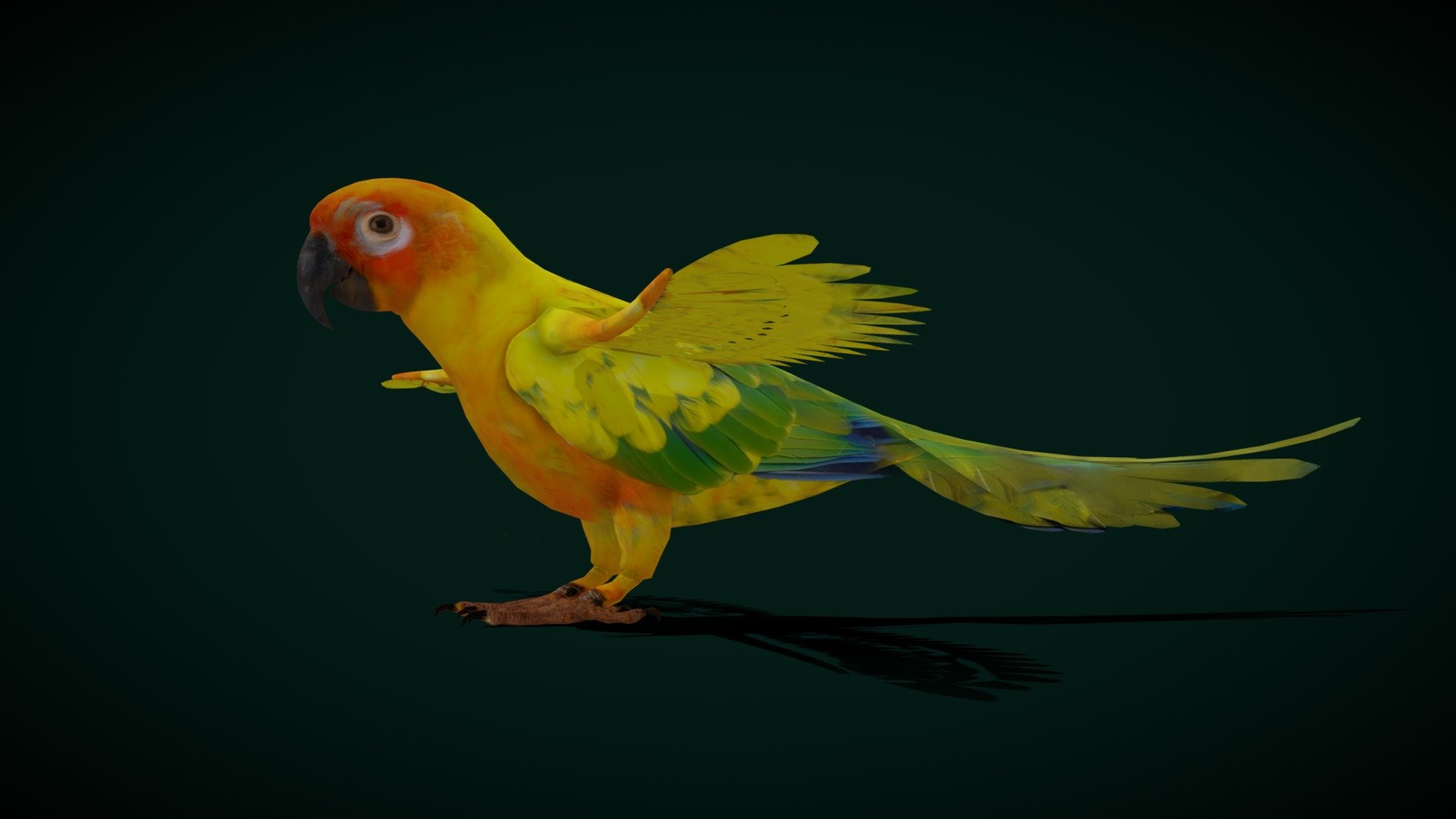 Sun Conures Parakeet Bird (Endangered) 3d model