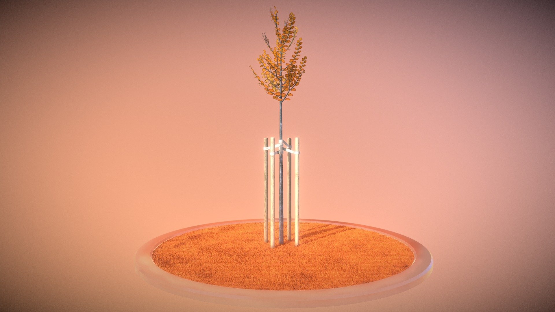 Tilia Tree 2 Meters in Autumn Season 3d model