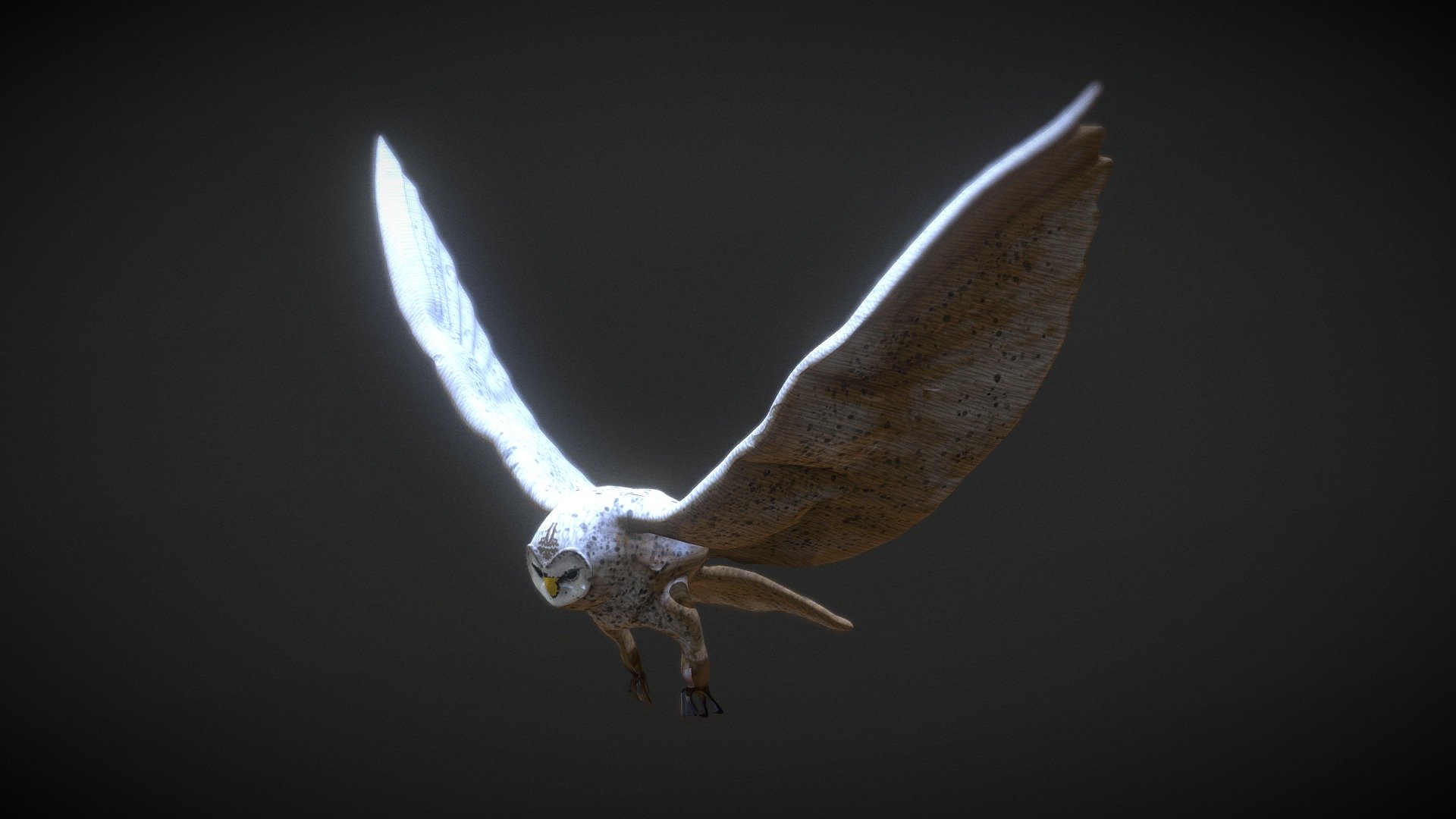 Animated and rigged Owl 3d model