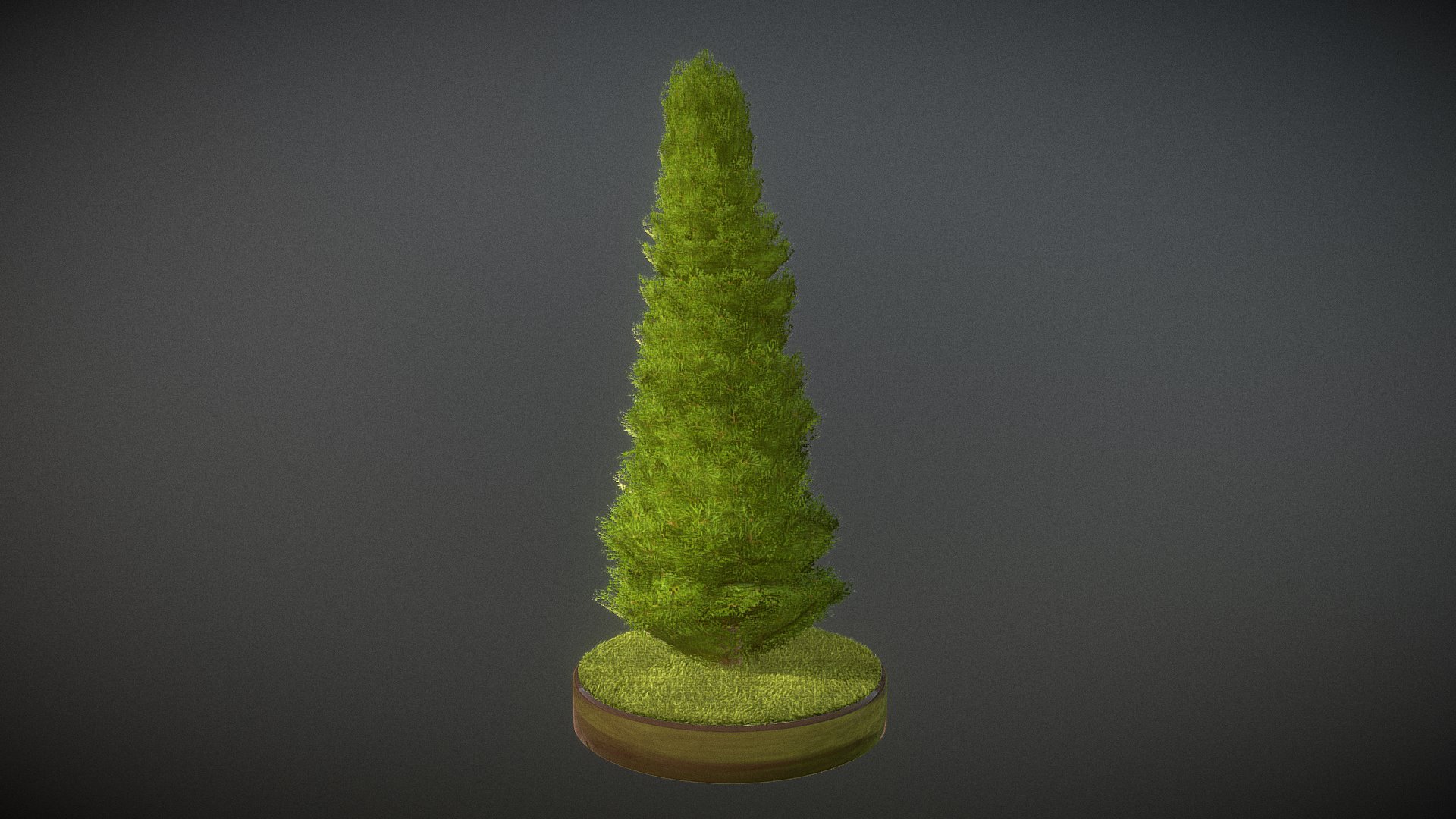 Cypress 3d model