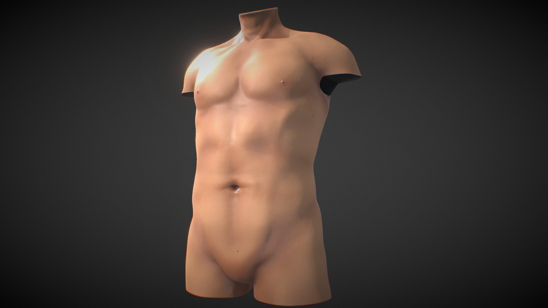 Fit Male Anatomy 3d model