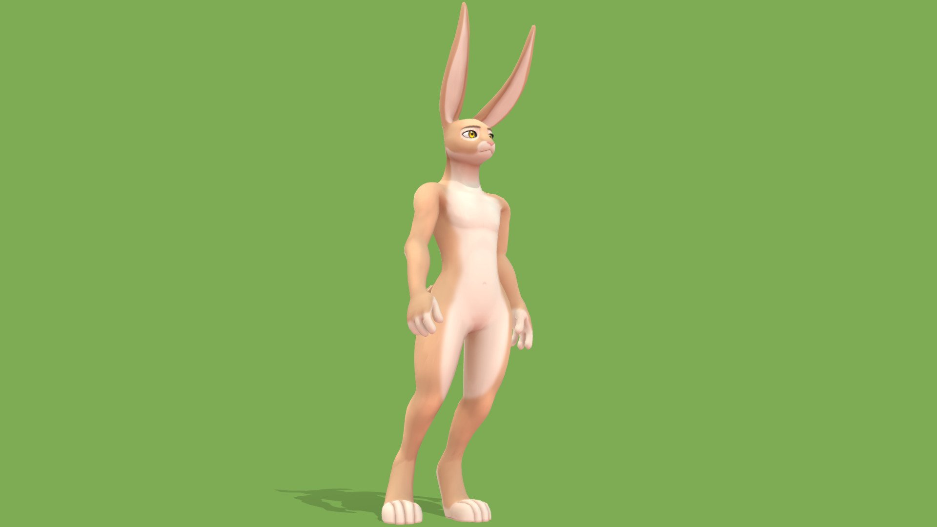 Rabbit! 3d model