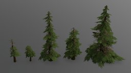 Pine tree low poly