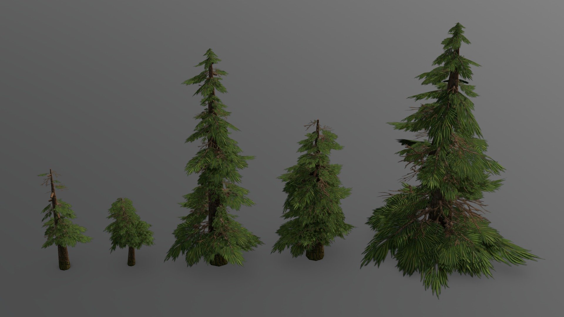 Pine tree low poly 3d model