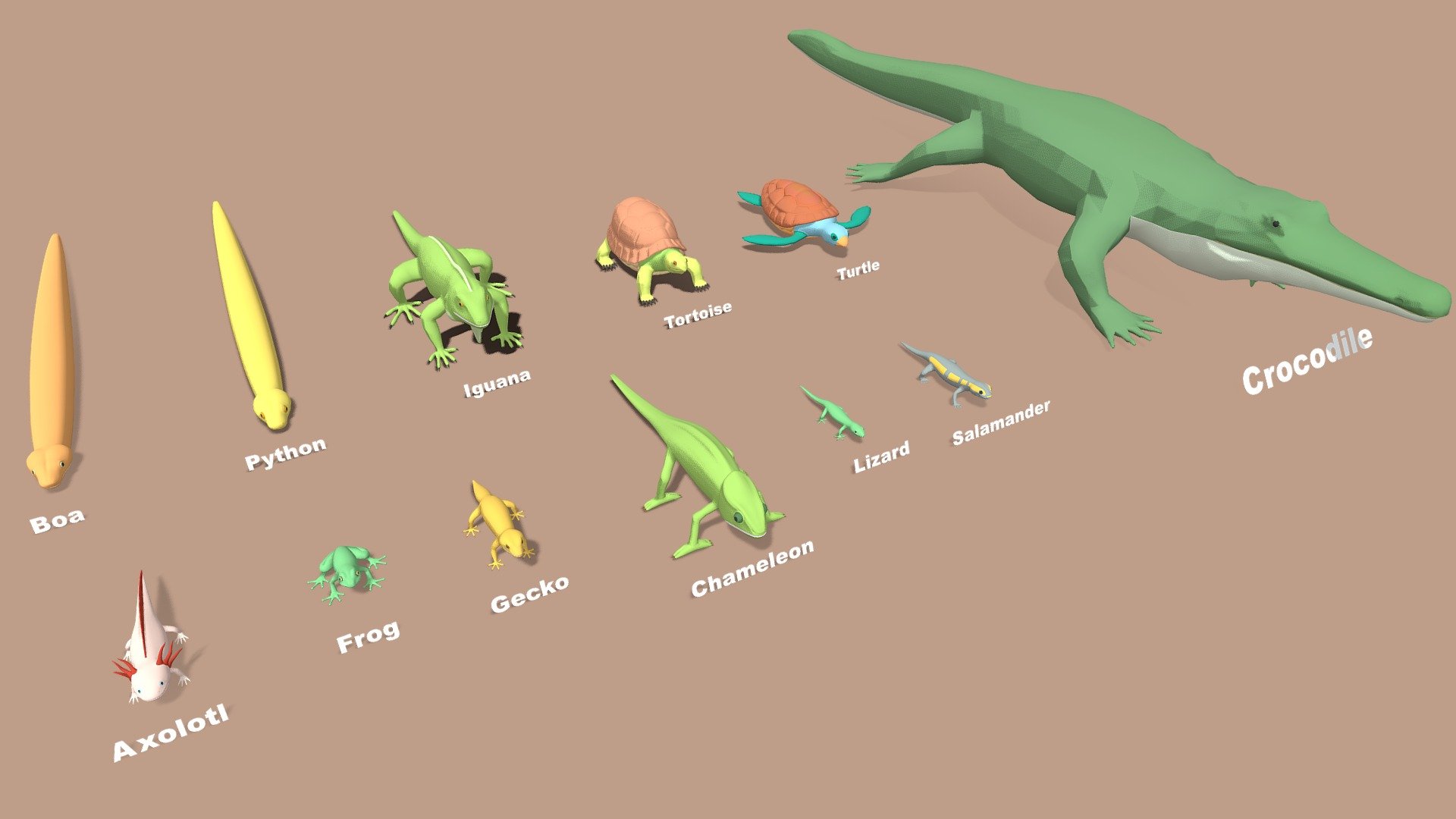 Reptiles,  Amphibians lowpoly 3d model