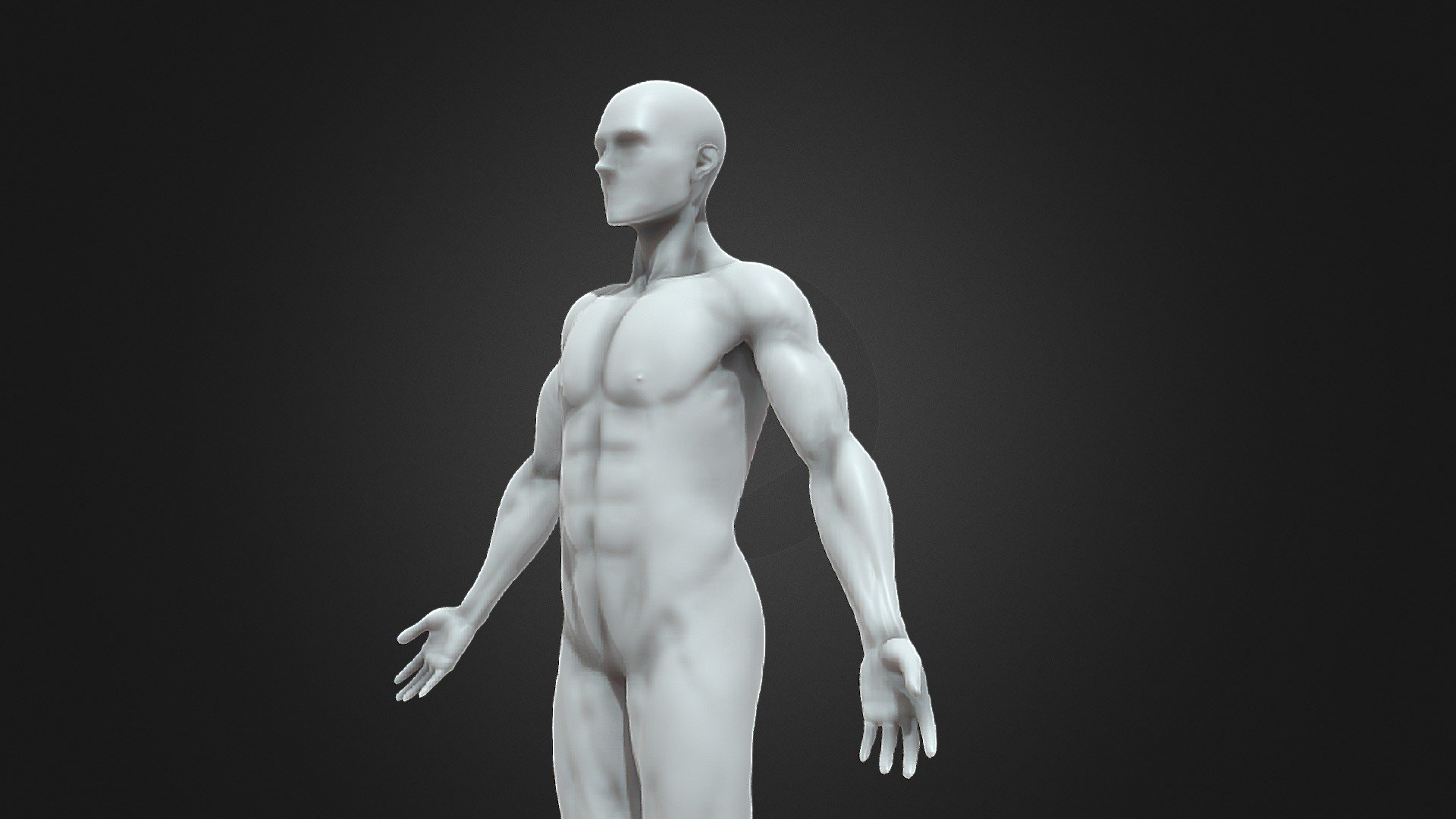 Human Male Mannequin 3d model