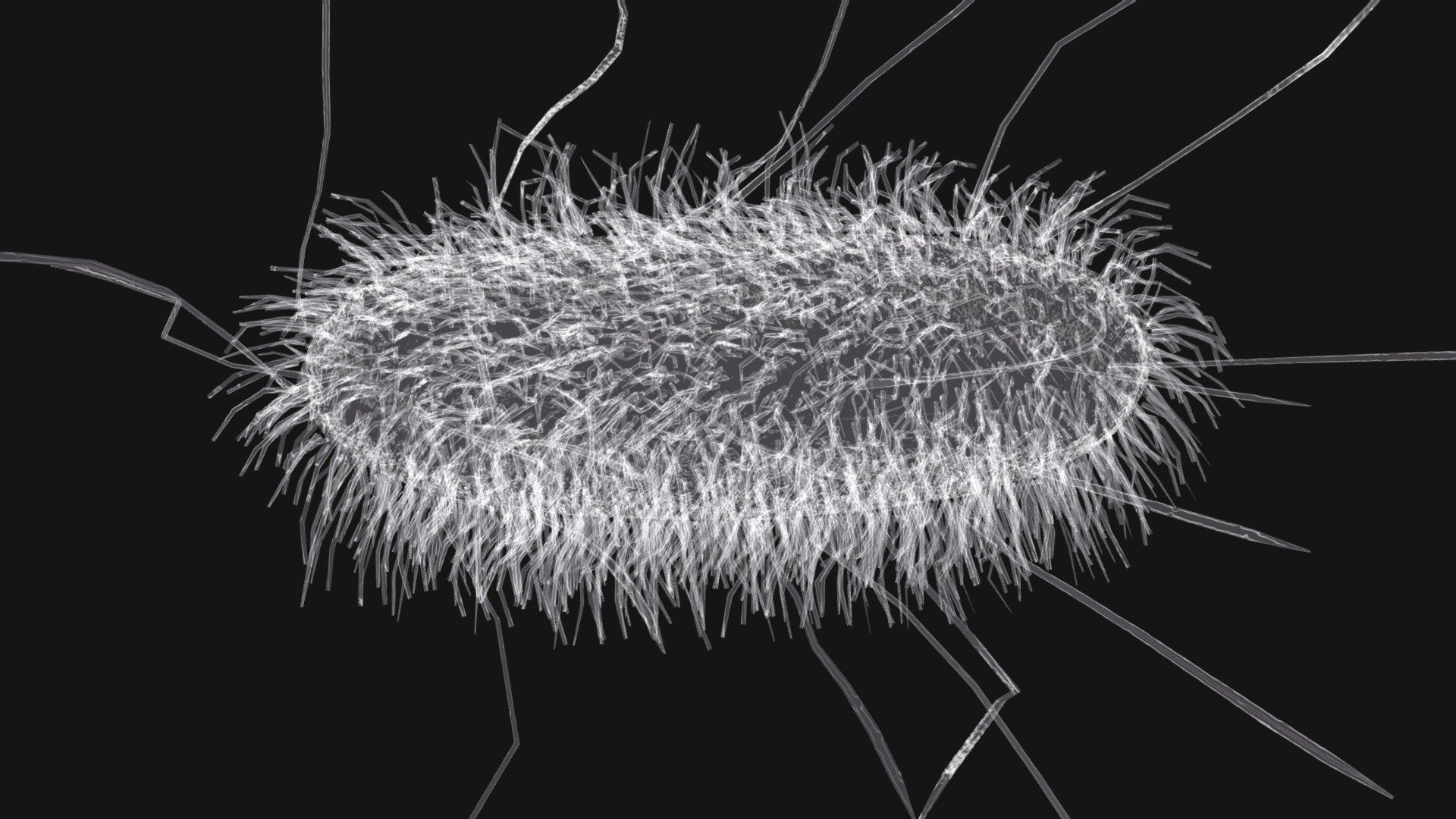 E Coli 3d model