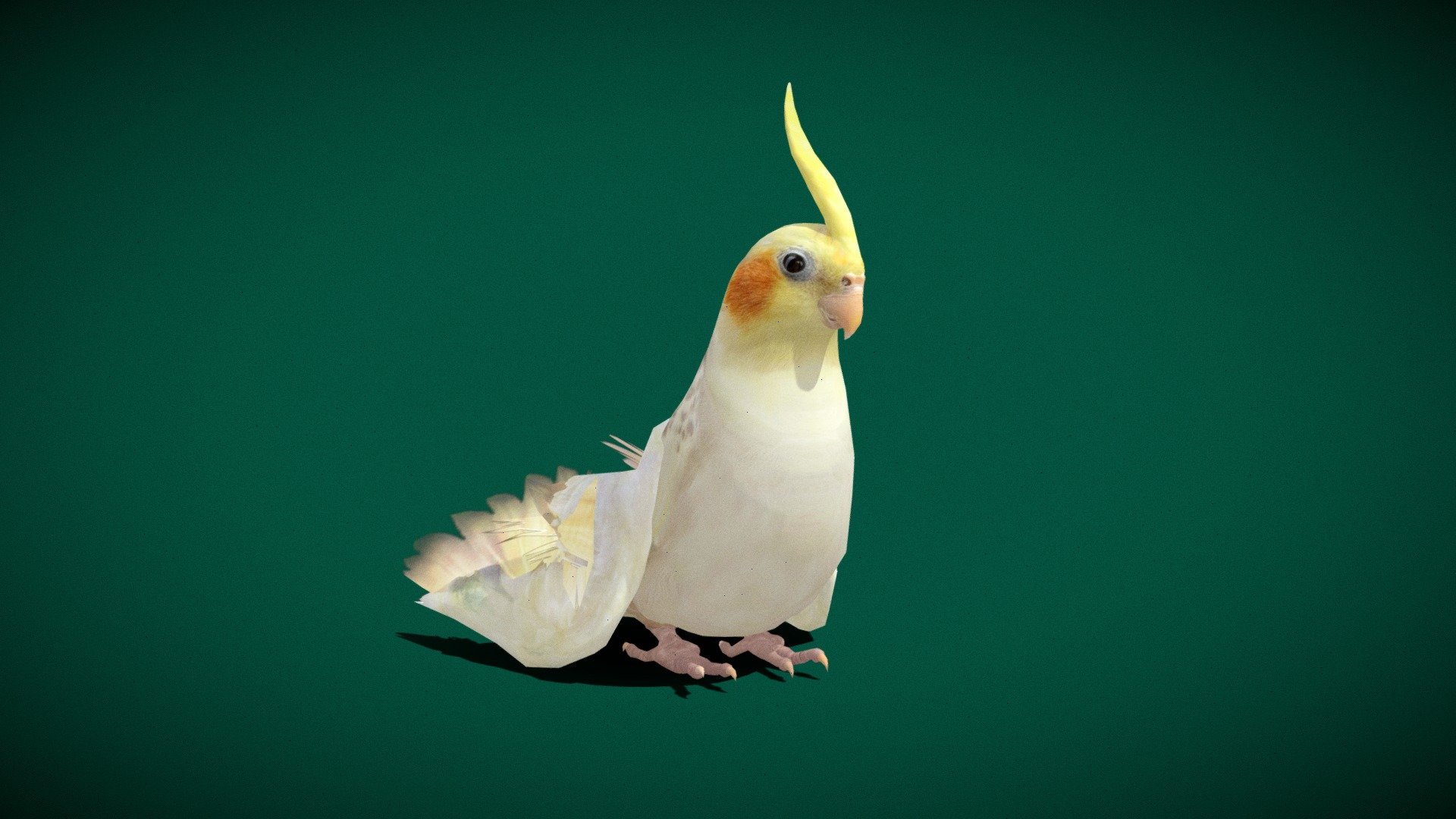 Cockatiel Parrot (Lowpoly) 3d model