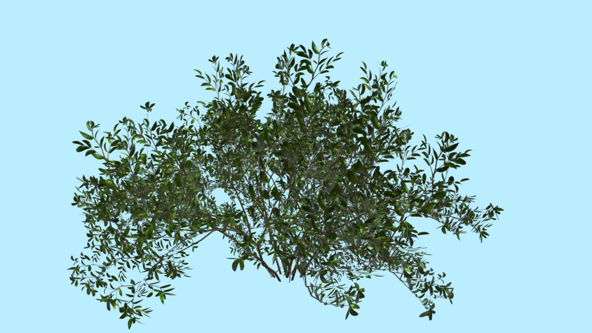 Game Ready Bush 3d model