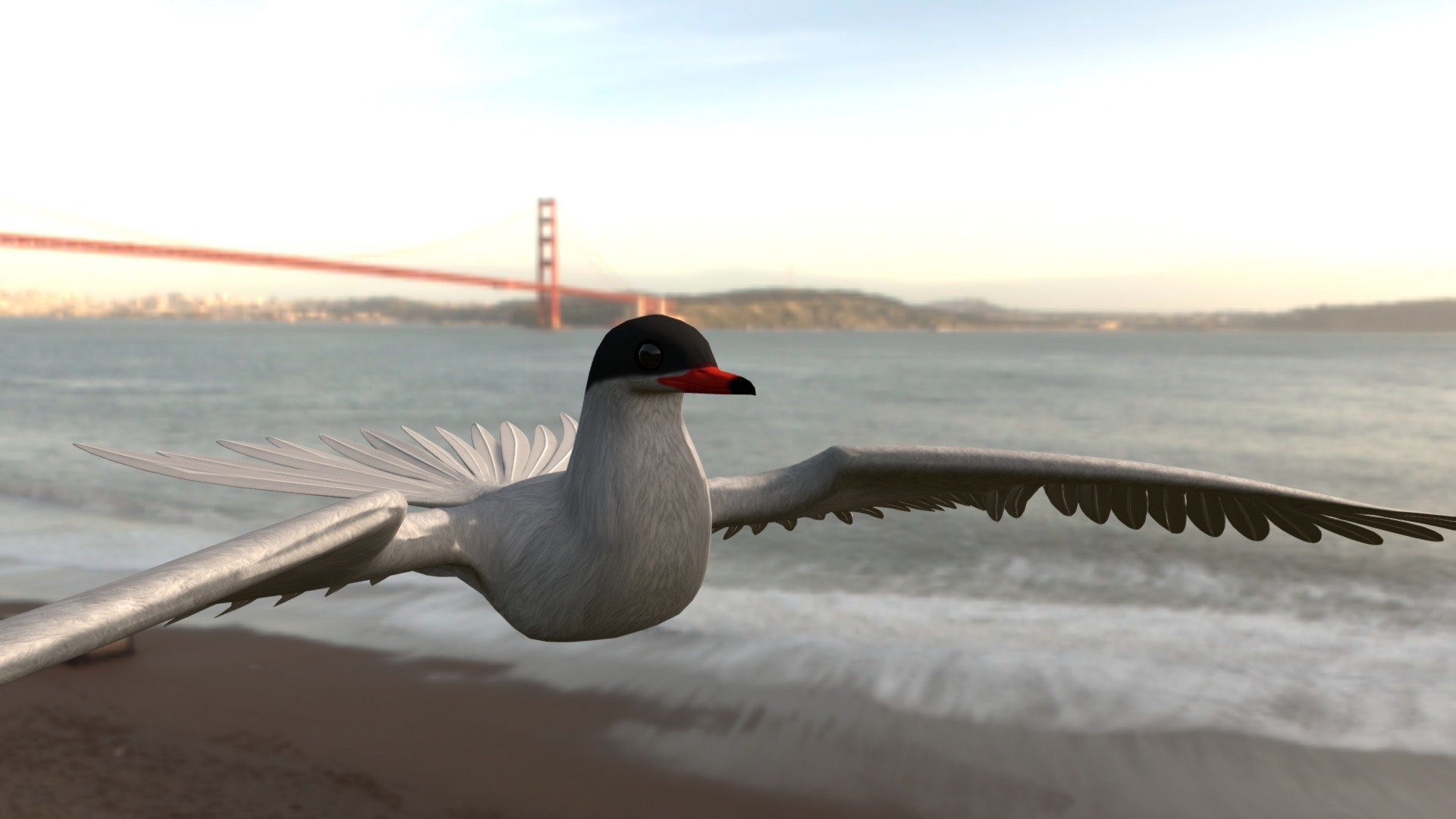 Arctic Tern Bird 3d model