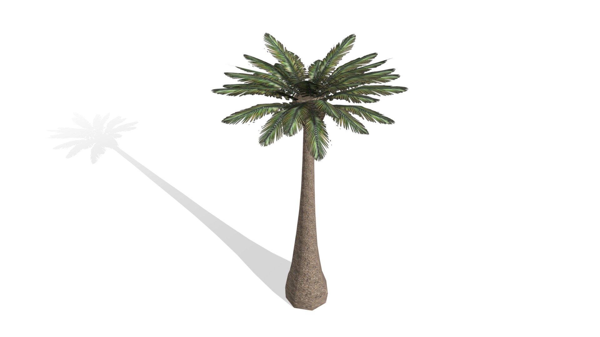 Palm Tree (Low Poly) 3d model