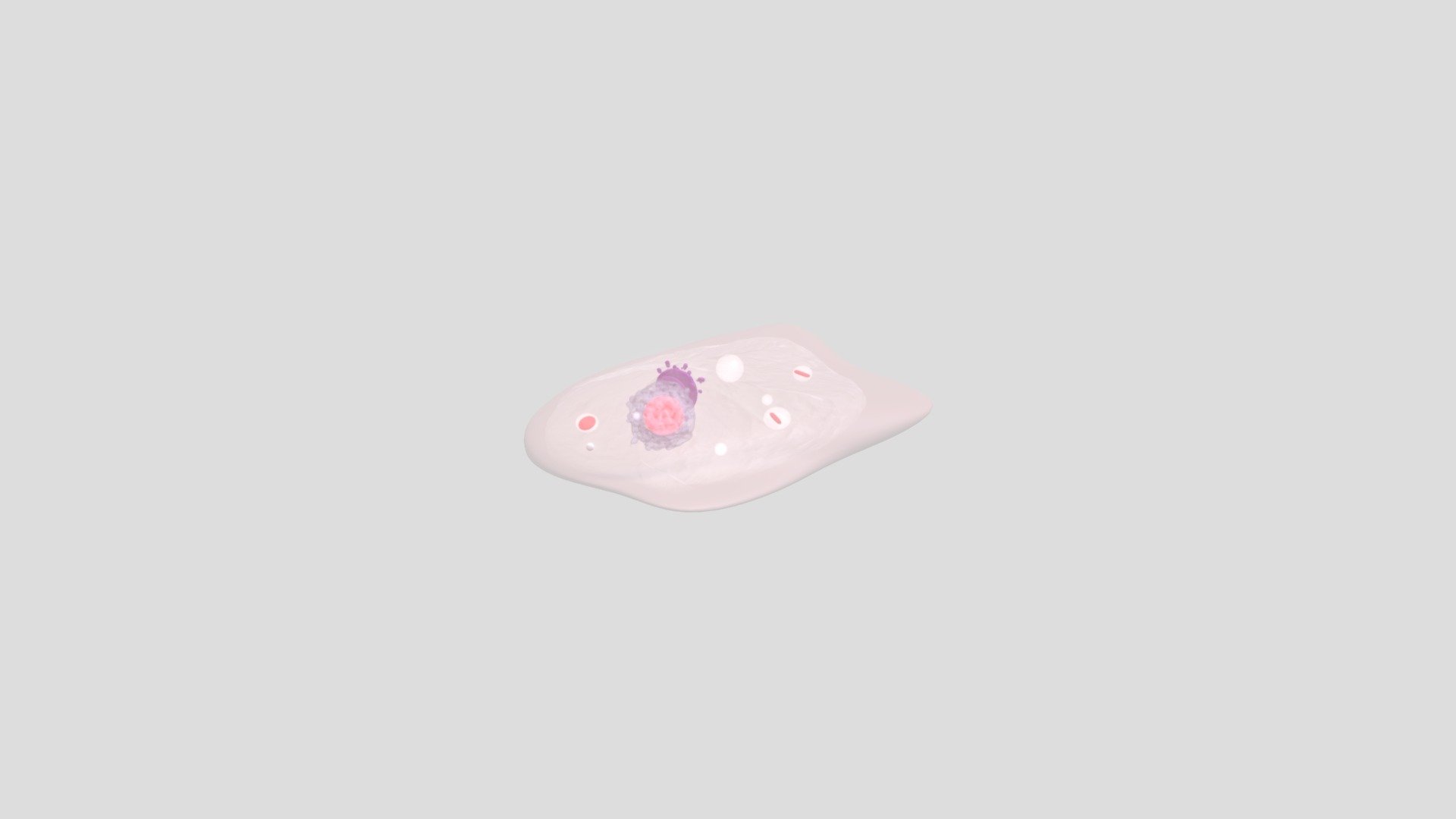 amoeba 3d model