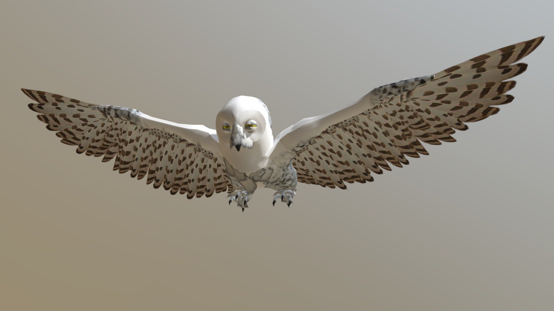 Owl To Sketchfab 3d model