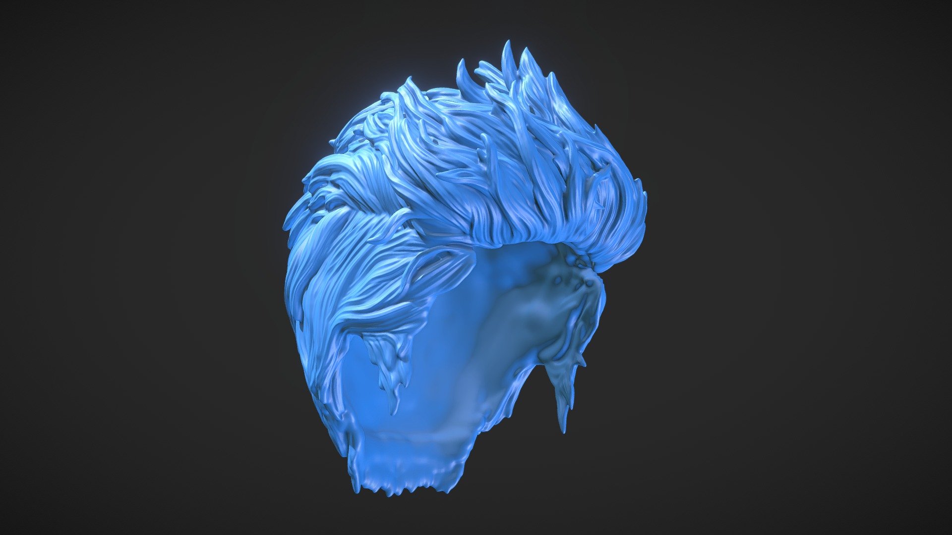 Hair 71 3d model