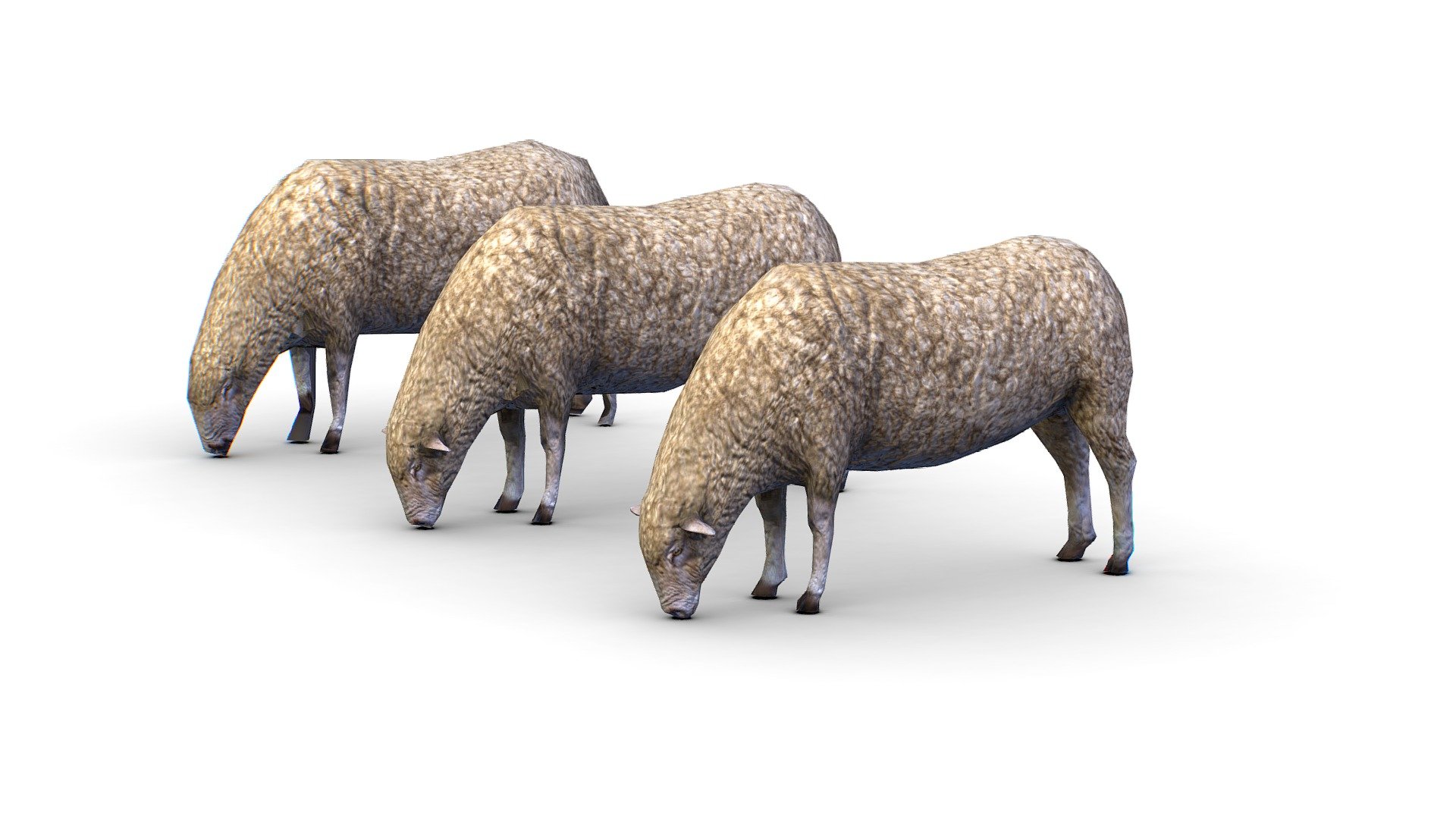 Low Poly Farm Sheep 3d model