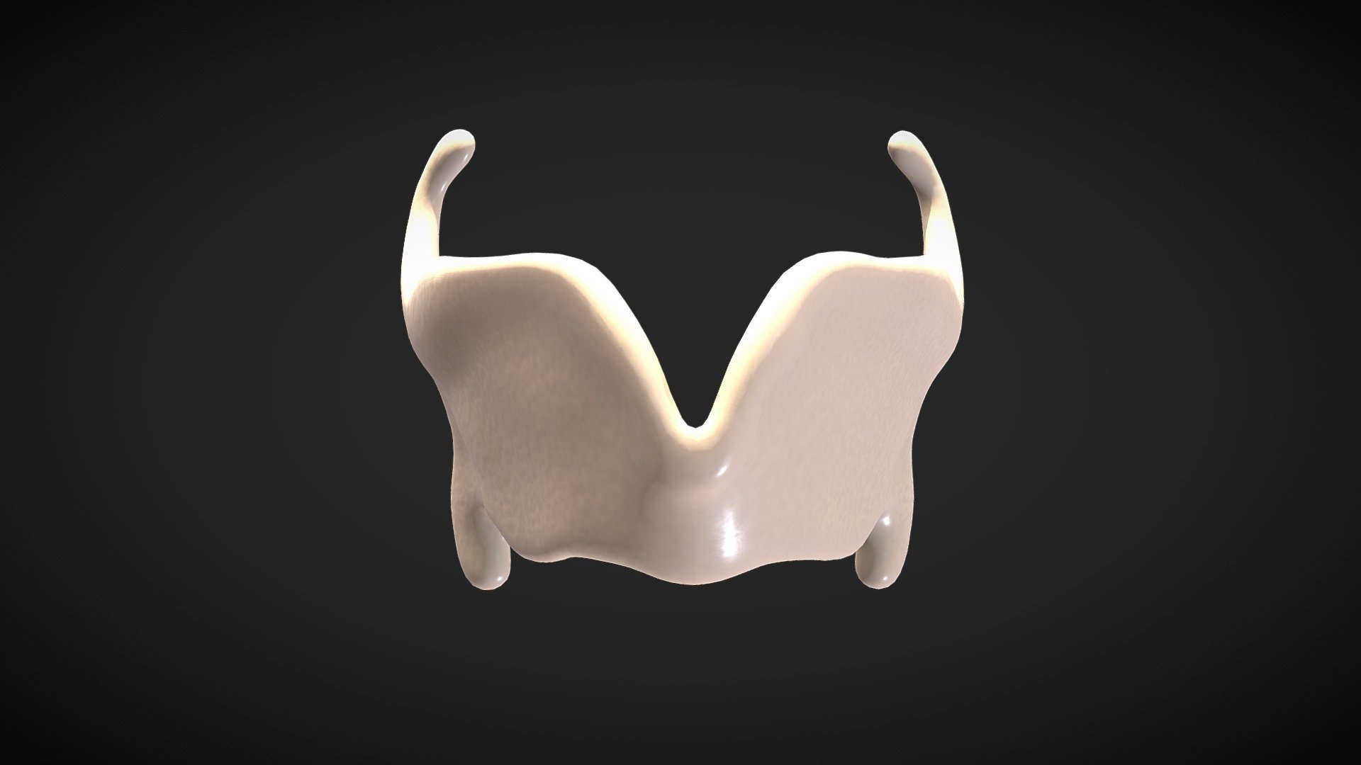 Thyroid cartilage 3d model