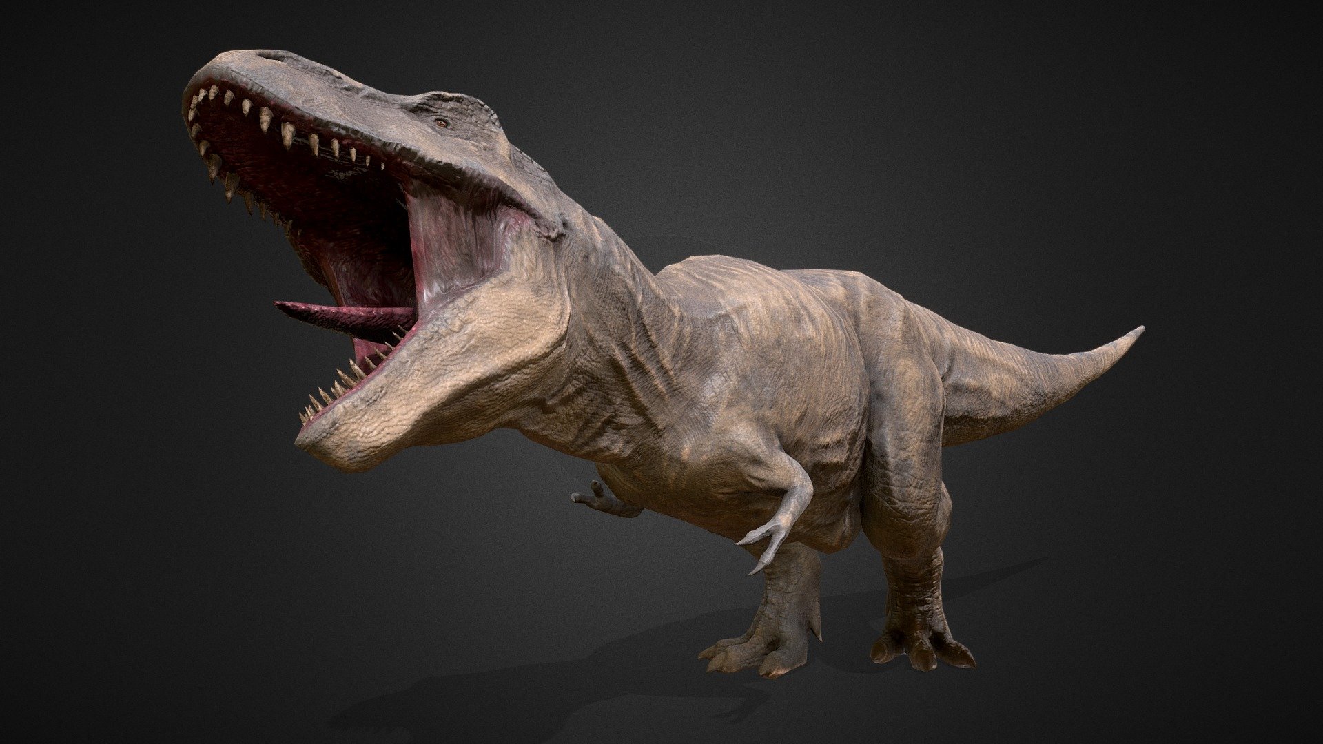 Trex 3d model