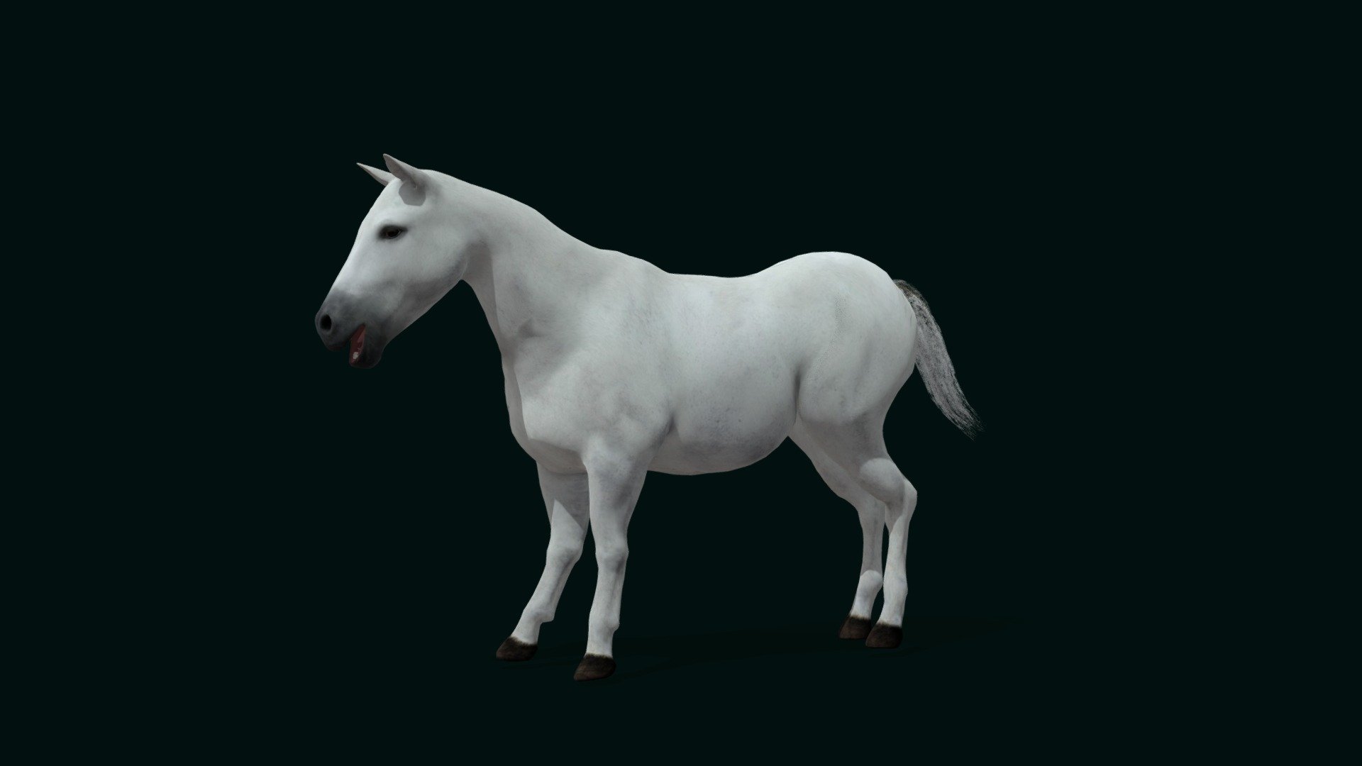 Mule (Domestic Equine) 3d model