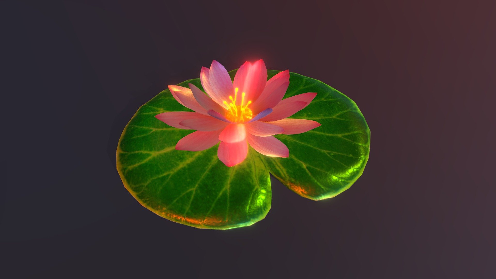 Lotus Animation 3d model