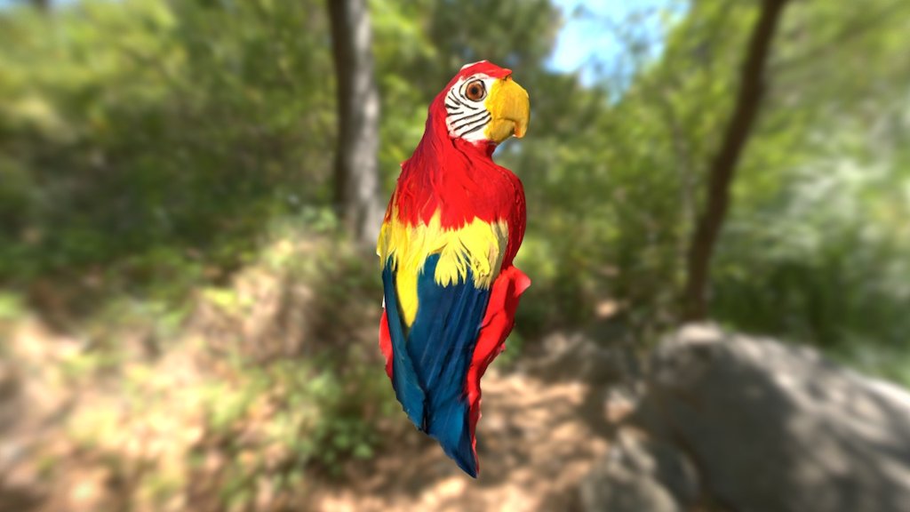 PARROT BIRD 3d model