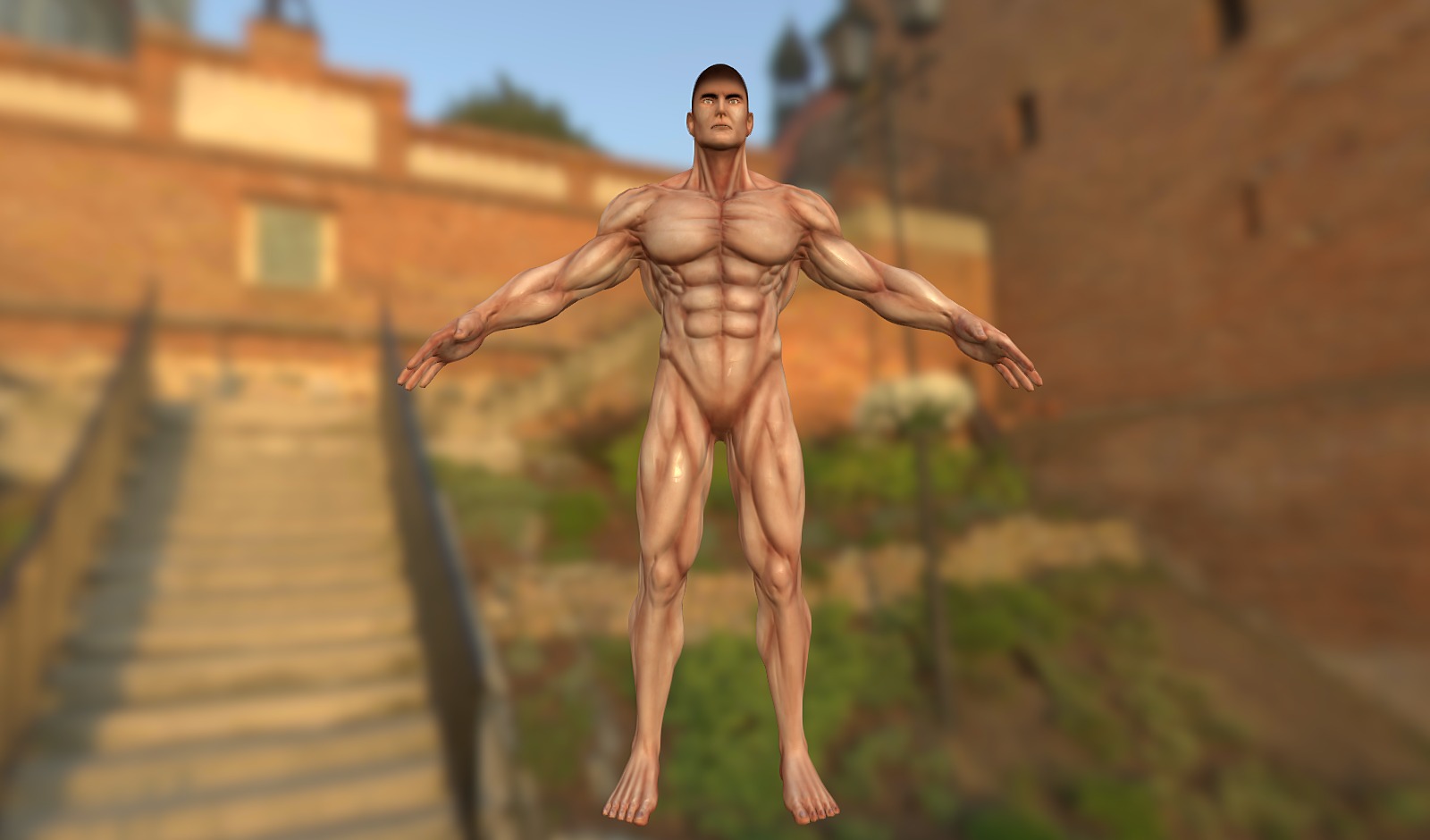 MaleAnatomyStudy 3d model