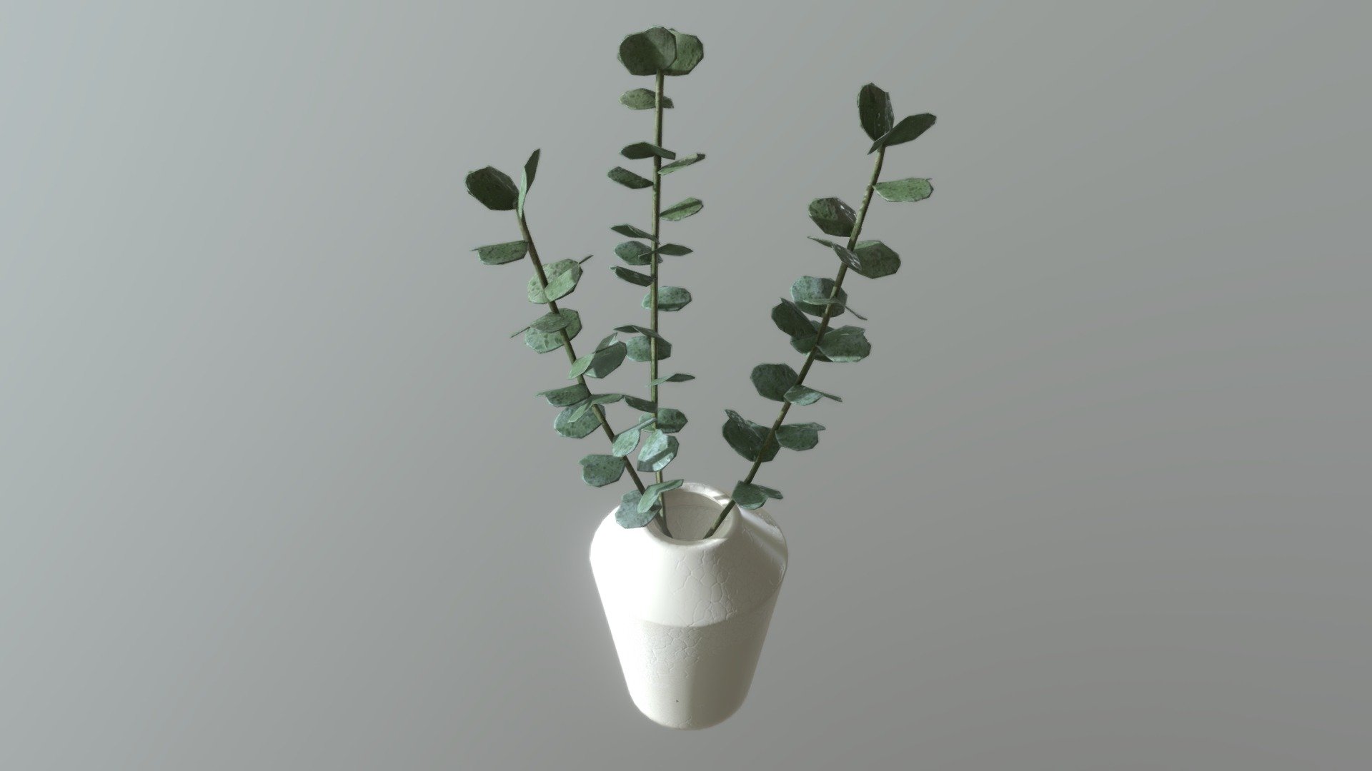 Porcelain Vase with Eucalyptus 3d model