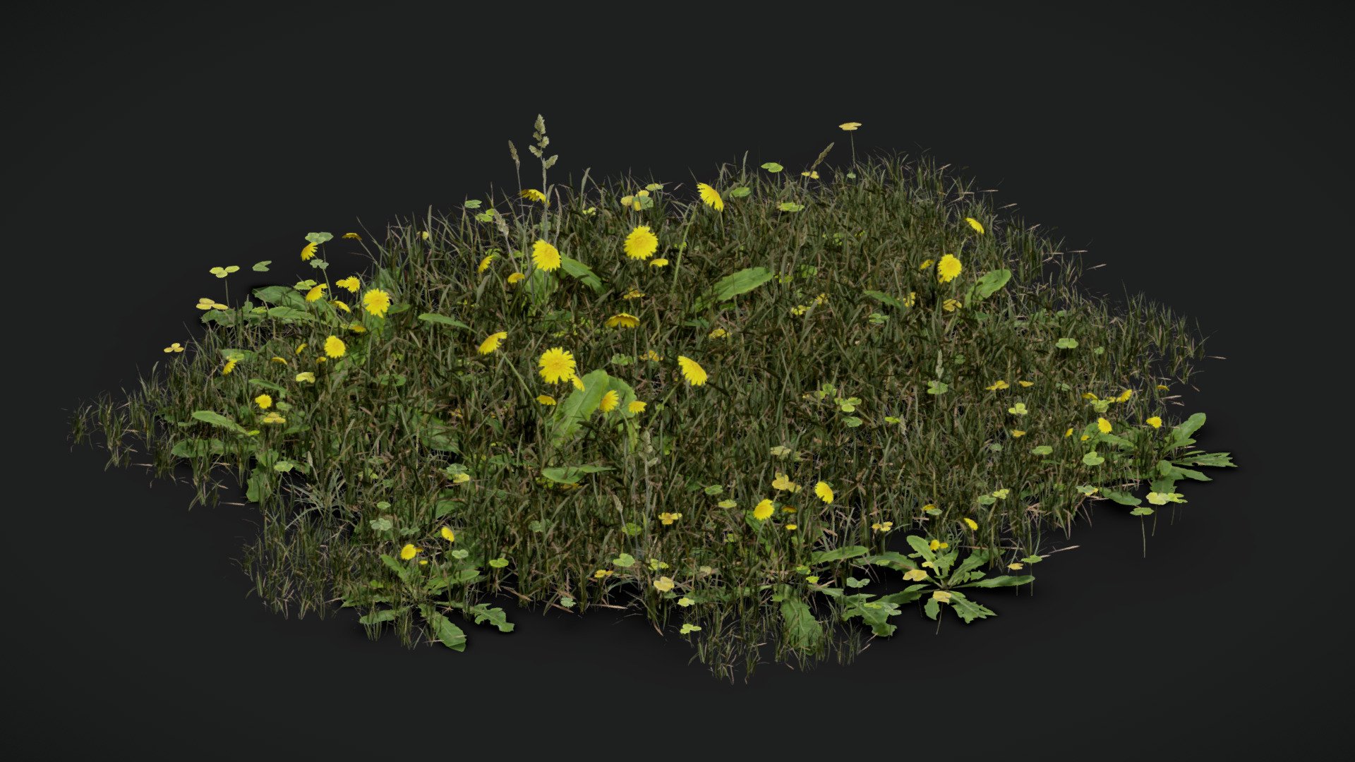 Grass Vegitation Mix 3d model