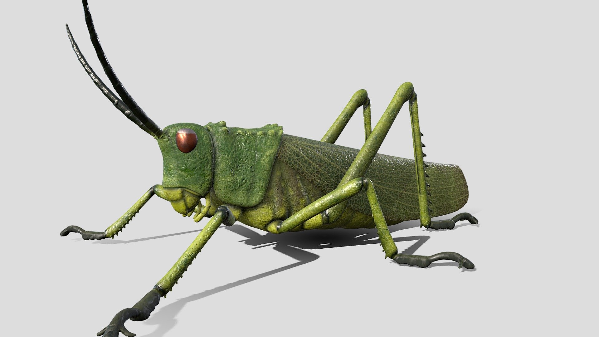 Grasshopper 3d model