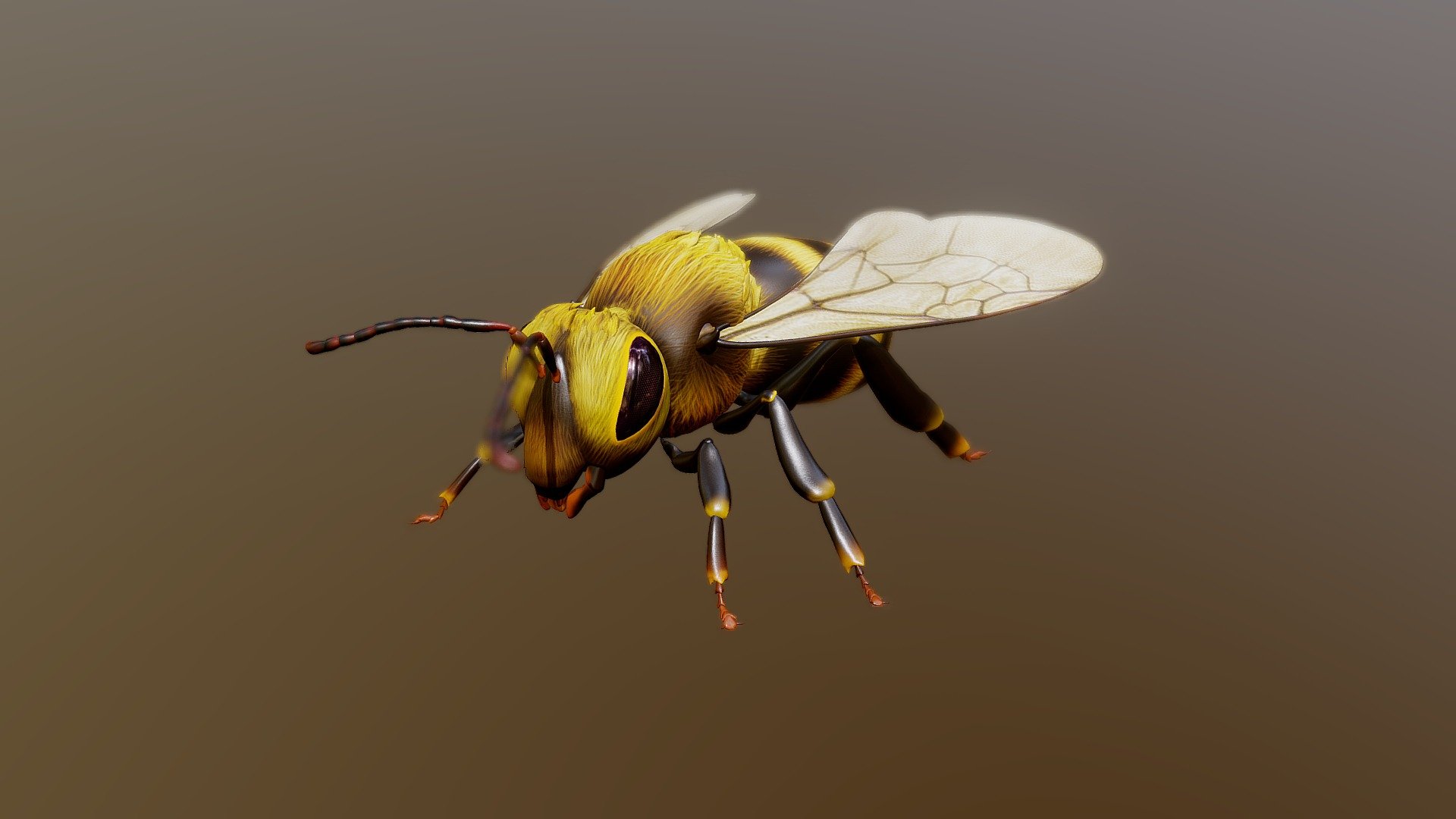 Bee 3d model