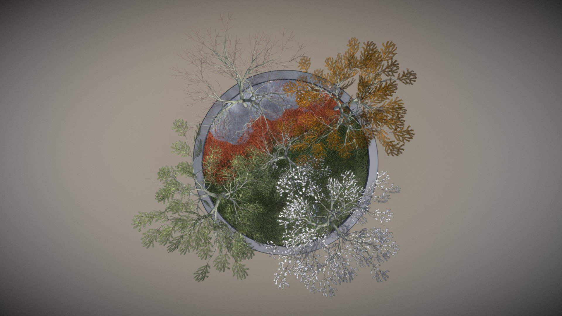 Plum Trees All Seasons 8m 3d model