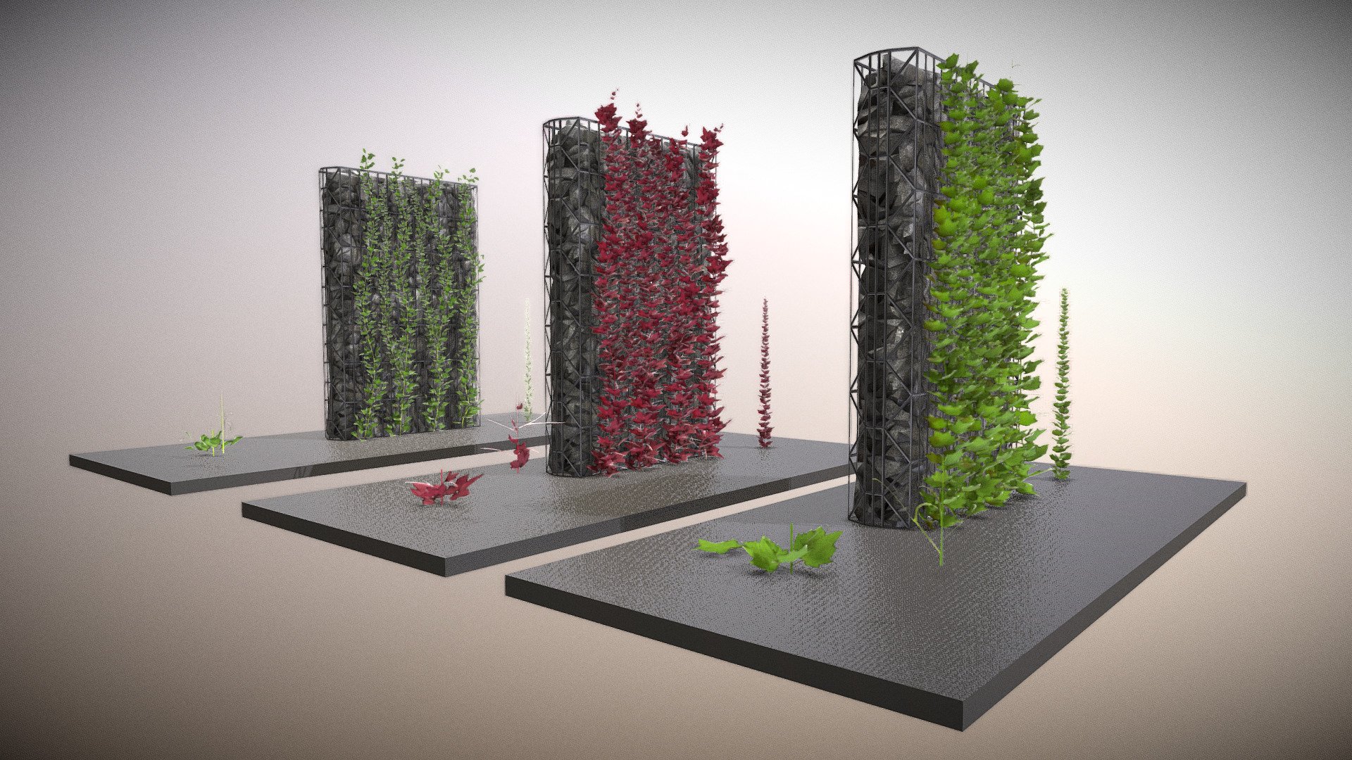 Vines 3d model