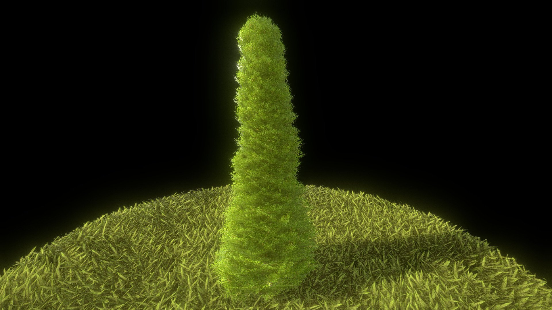 Cypress 3d model