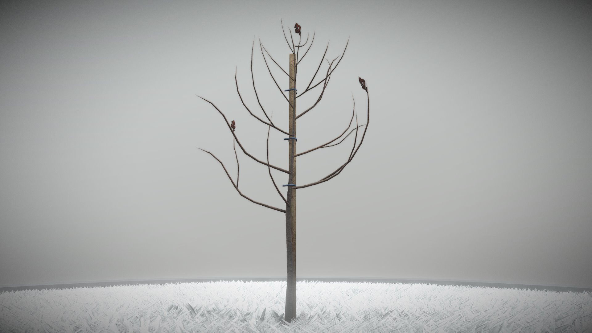 Small Pear Tree Winter 2 Meter 3d model